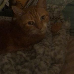 Meet your Posher, Mary